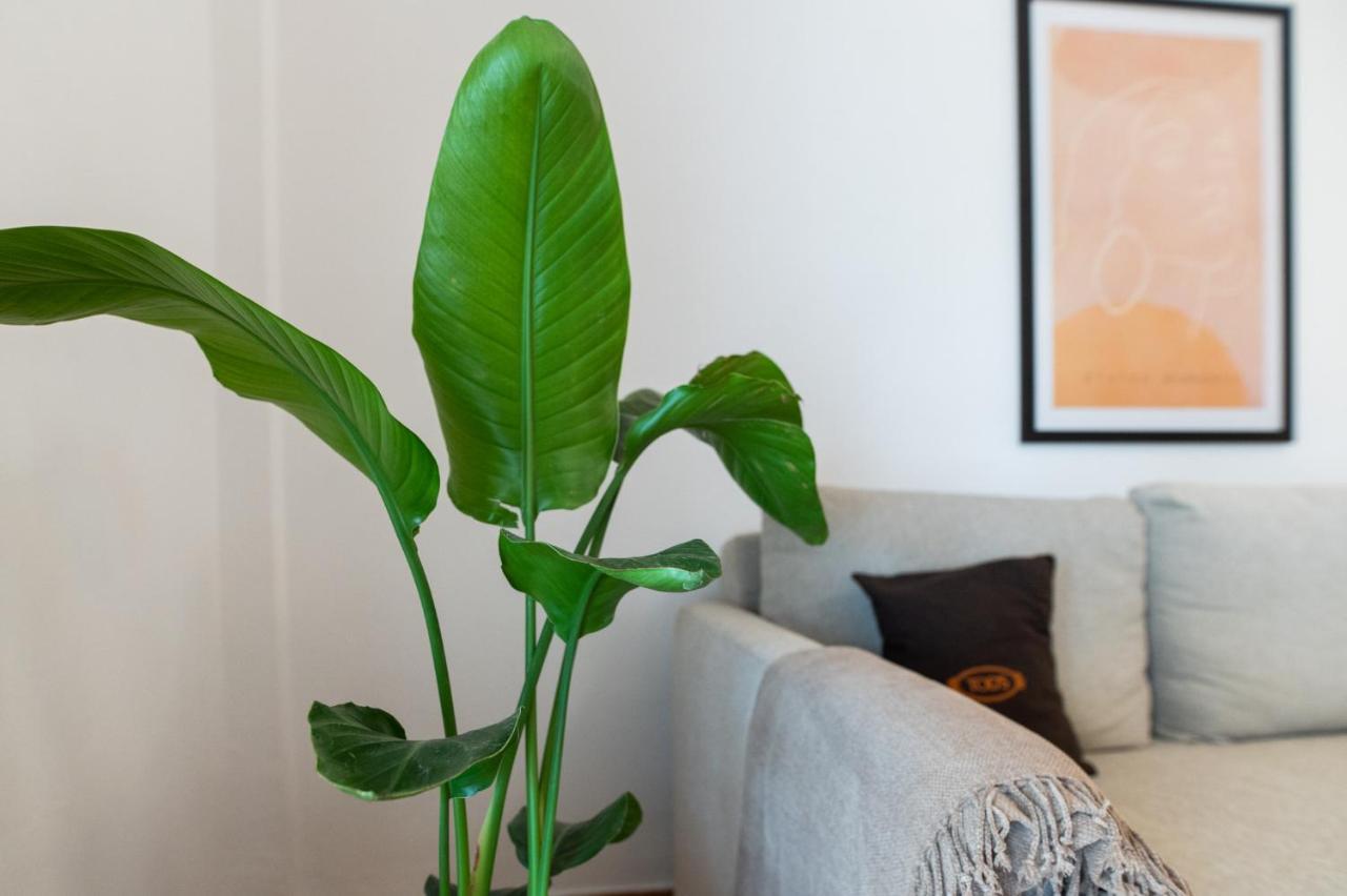 Flat 126 Apartment Alexandroúpolis Ngoại thất bức ảnh